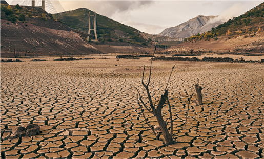 Les Impacts du changement climatique sur la région MENA